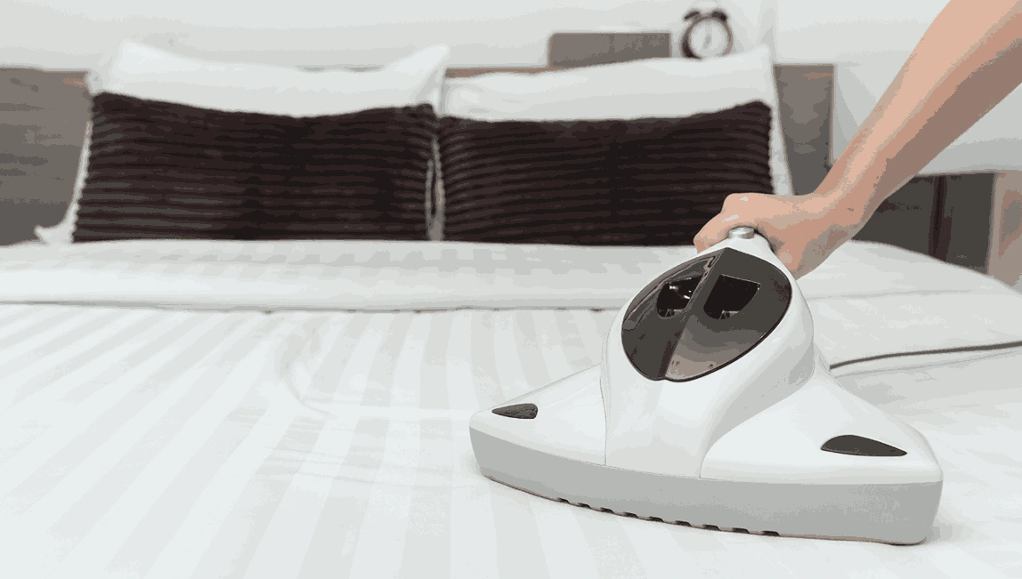 Professional Mattress Cleaning Deepdene
